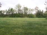 Ausblick in den Garten - 