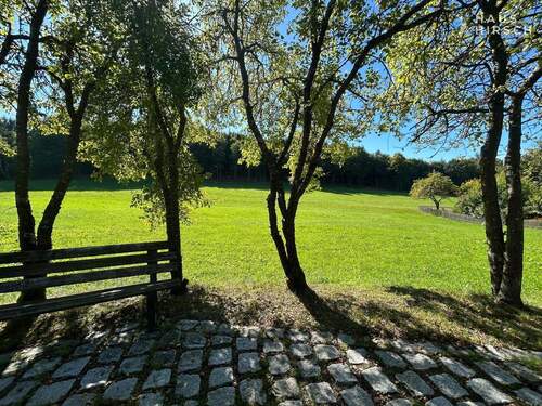 Bild 4 - Grundstück in Traitsching zum Kaufen