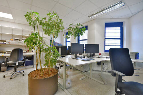 Bild8 - 