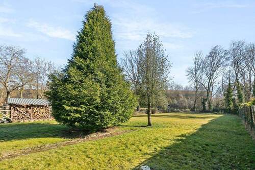 Grundstücks- und Gartenbereich - 