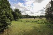 Garten - 3 Zimmer Einfamilienhaus zum Kaufen in Harmstorf