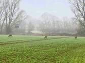 Ihr Ausblick? - F-R-E-I- Traum Walmdach-Haus mit Weitblick