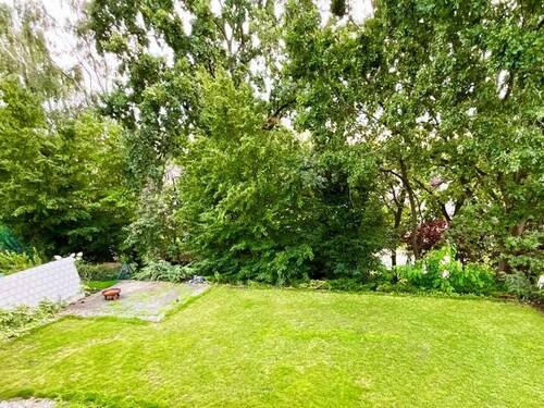 Blick in den Garten - 