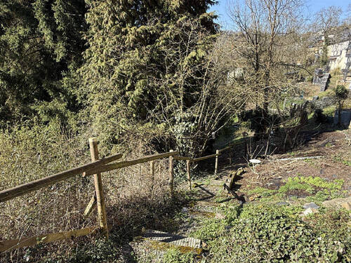 Anlage Terrassengarten - 