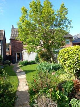 Gartenansicht im Sommer - 