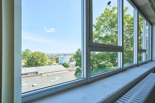 Blick nach draußen - Büro in Ludwigsburg