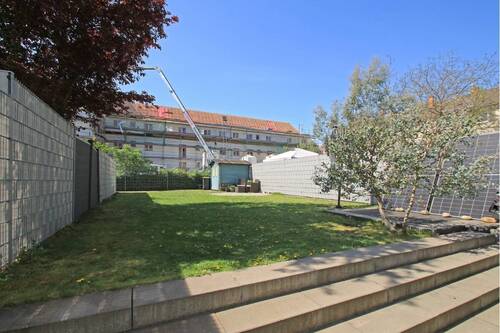 Blick in den Garten - 
