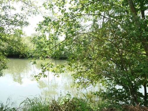 ...idyllische Nachbarschaft... - 