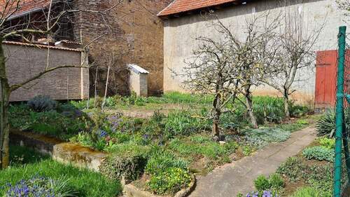 Garten am Innenhof - 