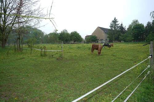 Pferdewiese - 