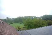Blick von den Scheunendächern auf den Wald - 