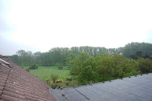 Blick von den Scheunendächern auf den Wald - 