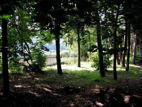 Grundstück - 865m² Grundstück am ruhigen Waldrand 