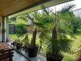 Aussicht Garten - 4 Zimmer Bungalow in Karlsruhe