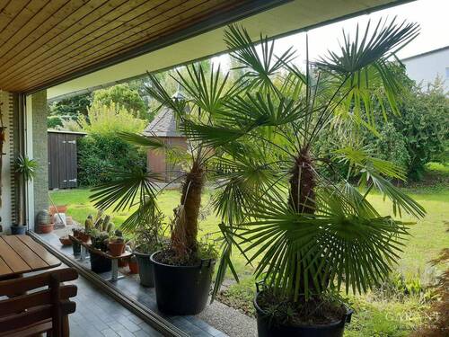 Aussicht Garten - 4 Zimmer Bungalow in Karlsruhe