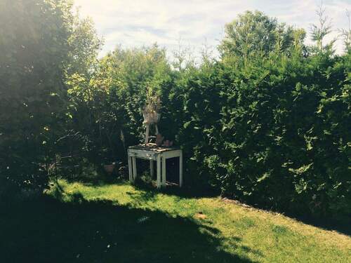 Schöner Garten - 