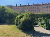 Bild 19 - 