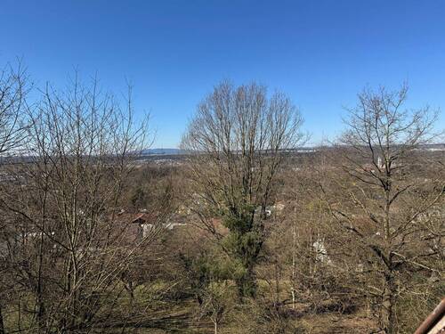 Ausicht - 7 Zimmer Einfamilienhaus zum Kaufen in Ravensburg