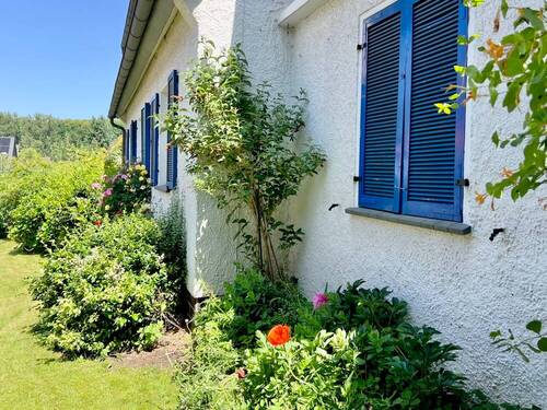 Hausansicht Fensterläden - 