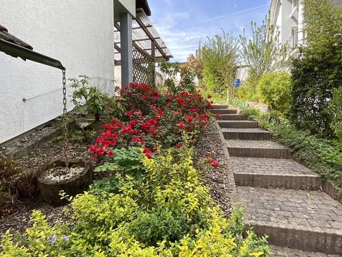 Außenanlage - 