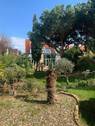 Gartenansicht - Einfamilienhaus mit 330,00 m² in Mainz zum Kaufen