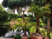 garten7 - 