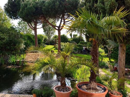 garten7 - 
