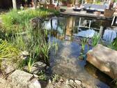 garten8 - 