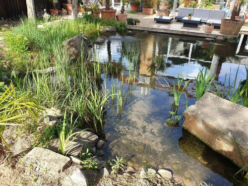 garten8 - 