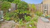 Gartenteich - 