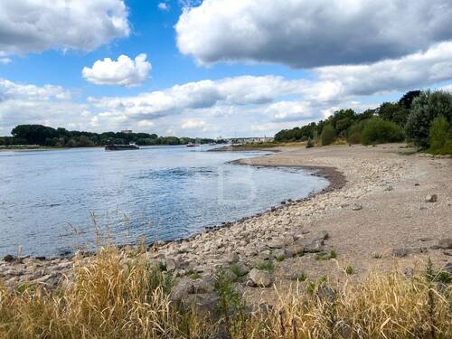 Rheinbuchten - 