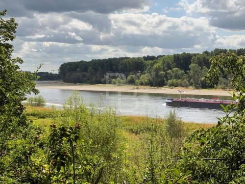 Rhein - 