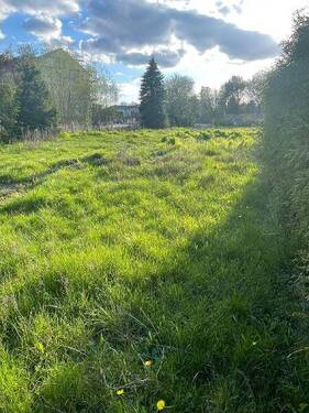 IMG 2887 - Großes Baugrundstück in Bestensee - Ob Eigennutzung oder Investition - Sie entscheiden!