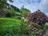 Bild 12 - 