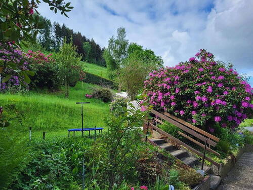 Bild 12 - 