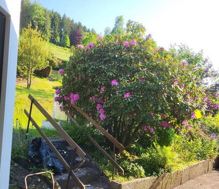 Bild 5 - 