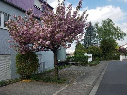 Außenansicht - 
