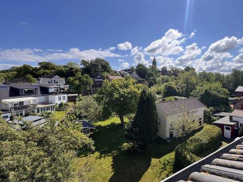 Blick in den Garten - 