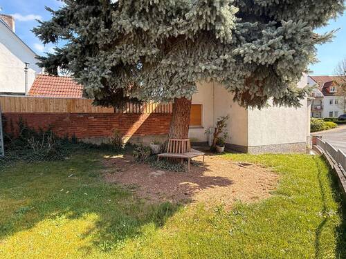 Seitlicher Garten - 