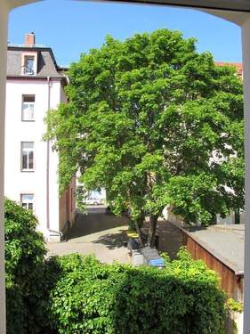 Blick vom Korridor-Fenster - 