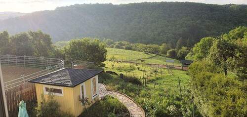Ausblick 1. OG auf Hausweide - Idyllischer, sanierter Pferdehof mit 9 ha Weideland
