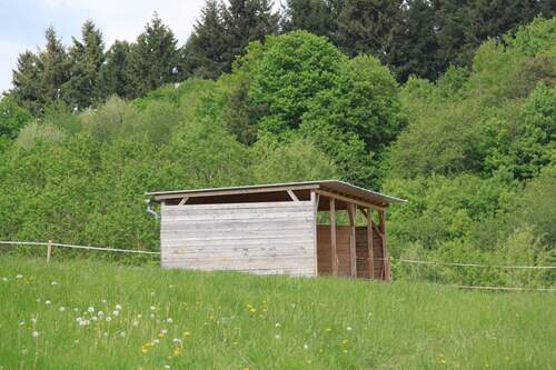 Unterstand auf Weide - 7 Zimmer Bauernhaus, Landhaus zum Kaufen in Brauweiler