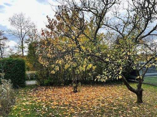 Bild 4 - Einfamilienhaus mit 109,00 m&sup2; in Neustadt/Aisch zum Kaufen