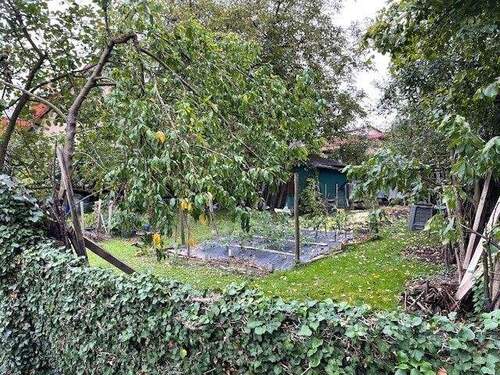 Grundstückseinblick - Grundstück zum Kaufen in Mosbach