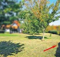 Ein Stück Garten im Innenbereich von Goslar-Weddingen provisionsfrei kaufen