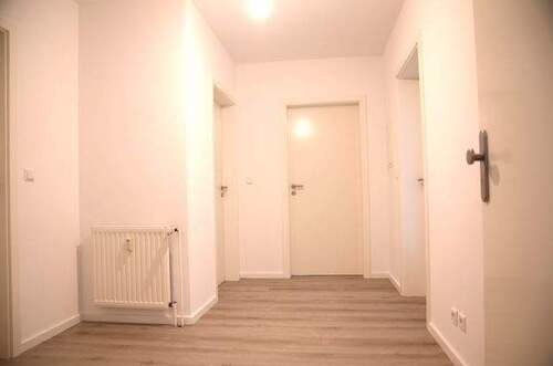 DSC_7702 Kopie.JPG - 