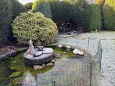 Gartenteich im Winter - 