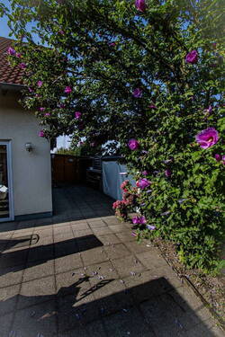 Gartenhaus - 