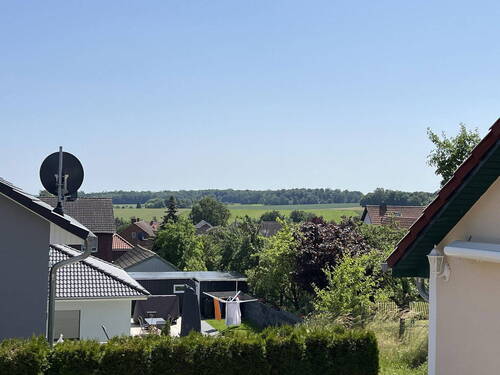 Blick ins Grüne - 