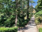 Umgebung Park - 